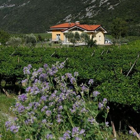 Appartamenti Al Vigneto Dro Esterno foto